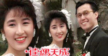 电视剧《佳偶天成》全集免费观看地址在哪,有没有既能看又能下的资源