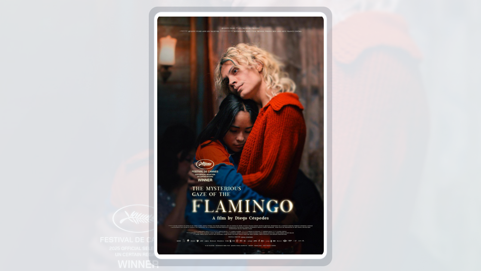 弗拉明戈的神秘眼神