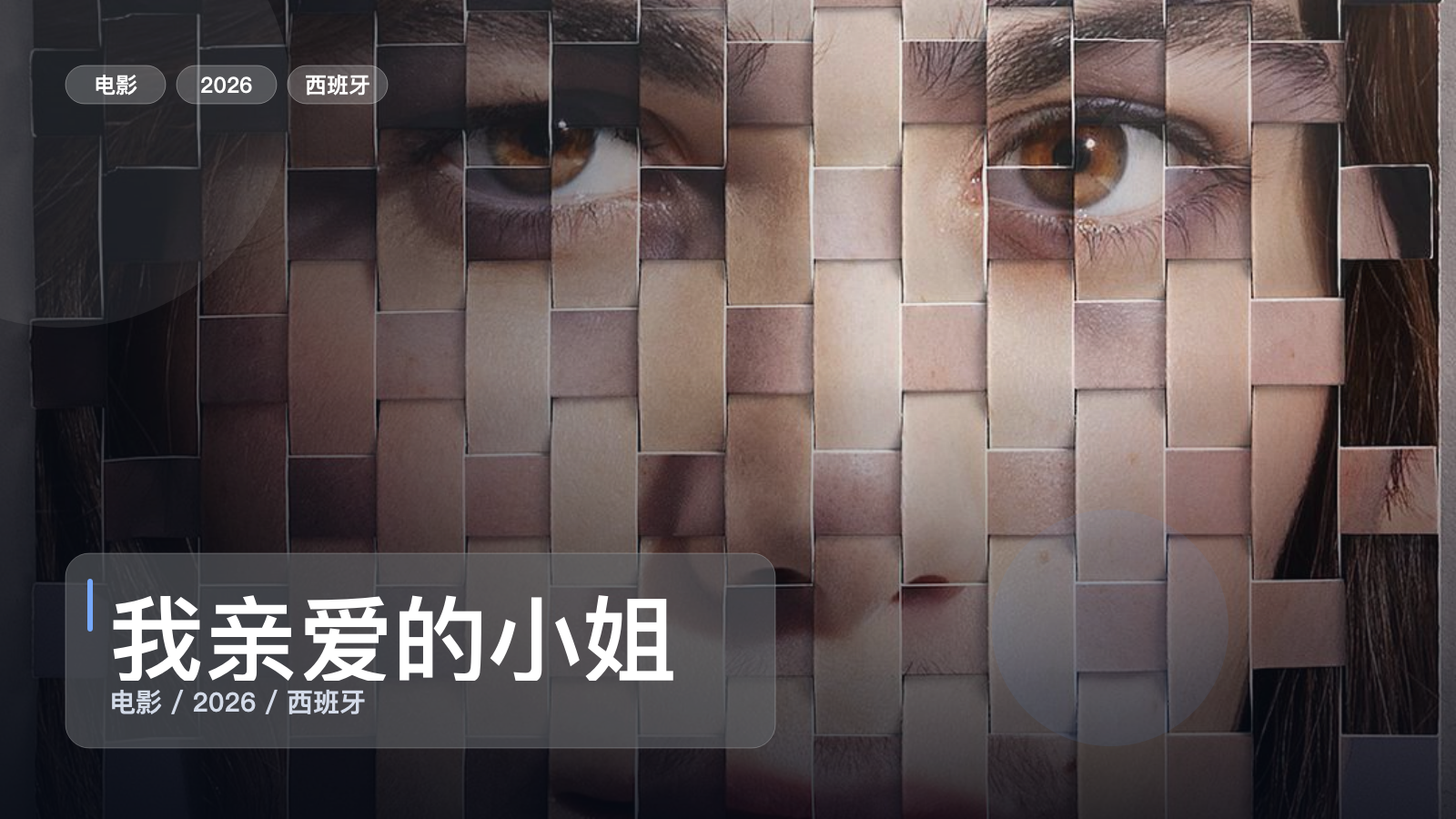 我亲爱的小姐