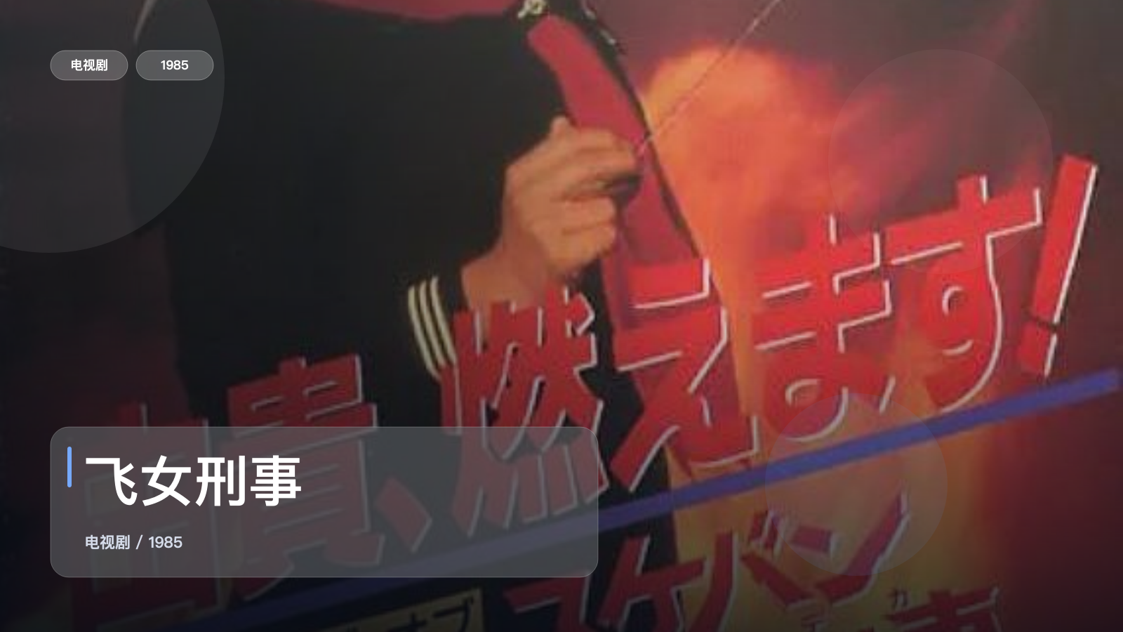 飞女刑事