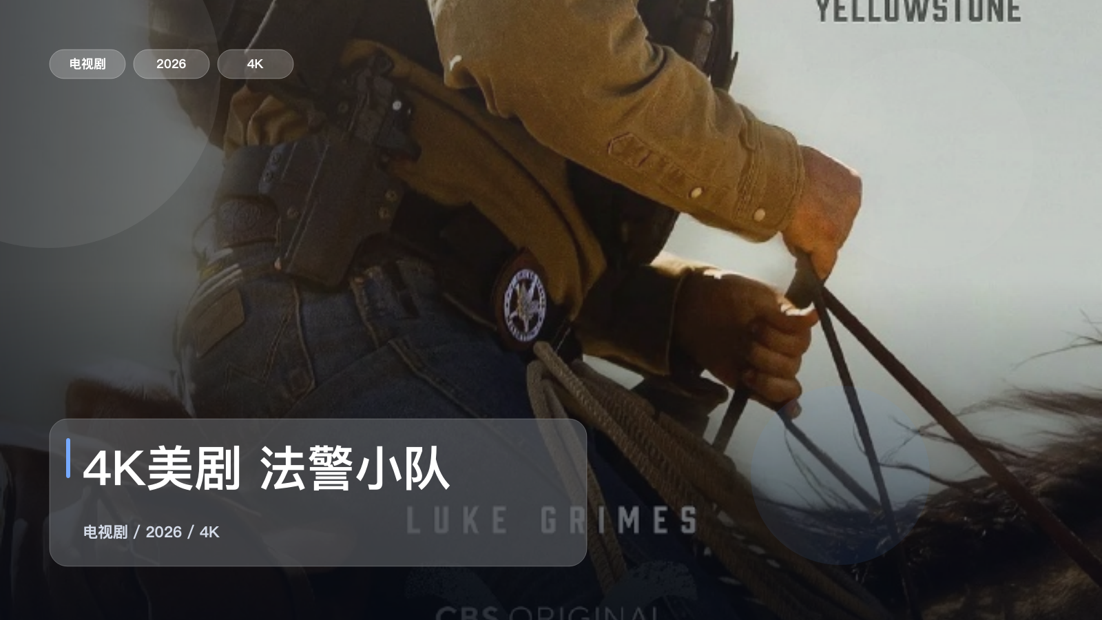 4K美剧 法警小队