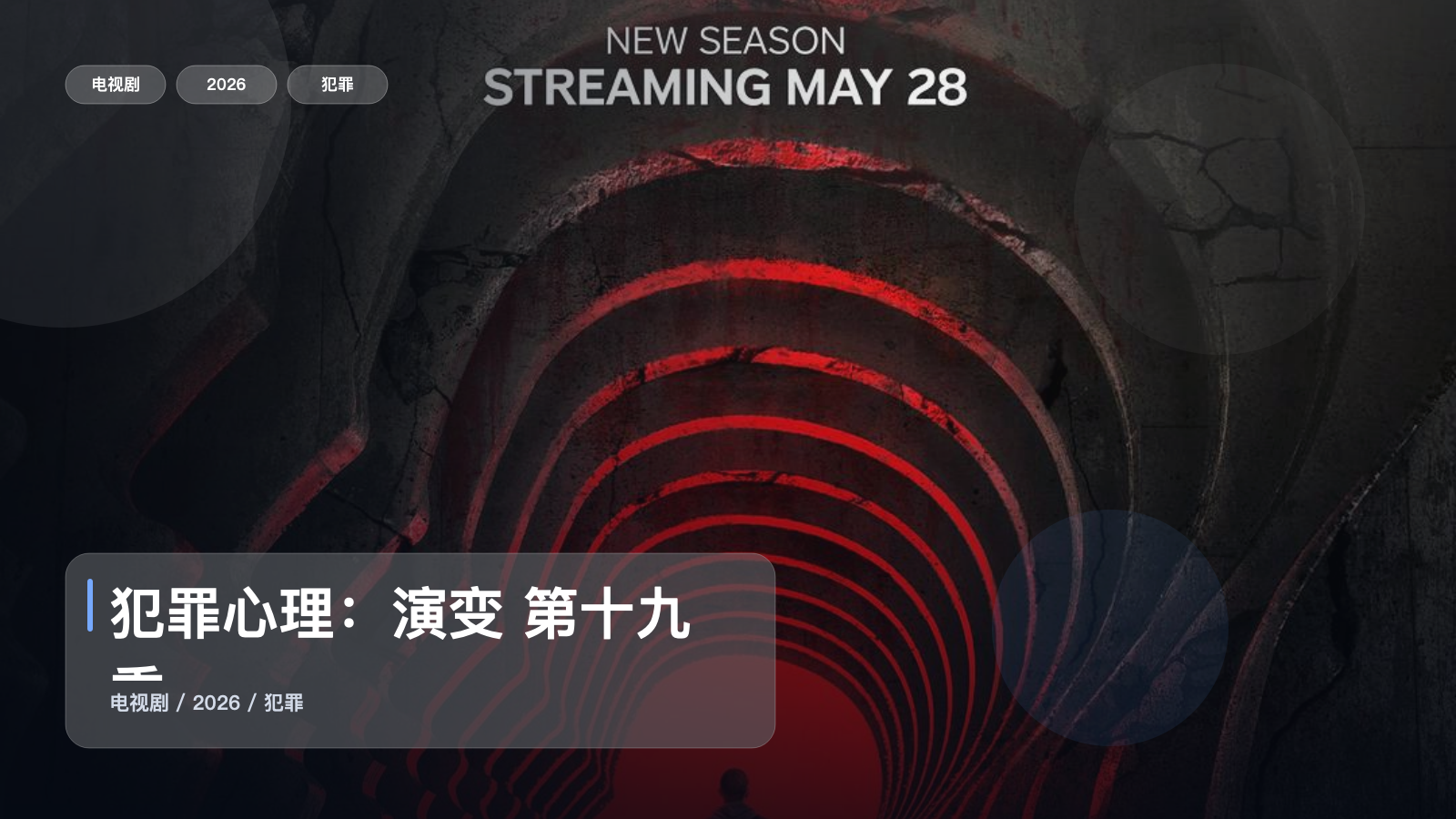 犯罪心理：演变 第十九季