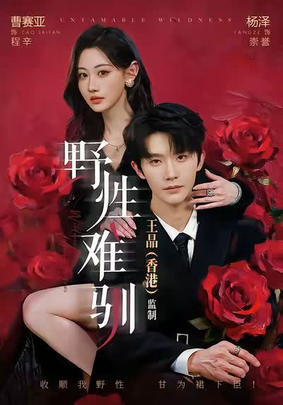 航向海盗王子的心