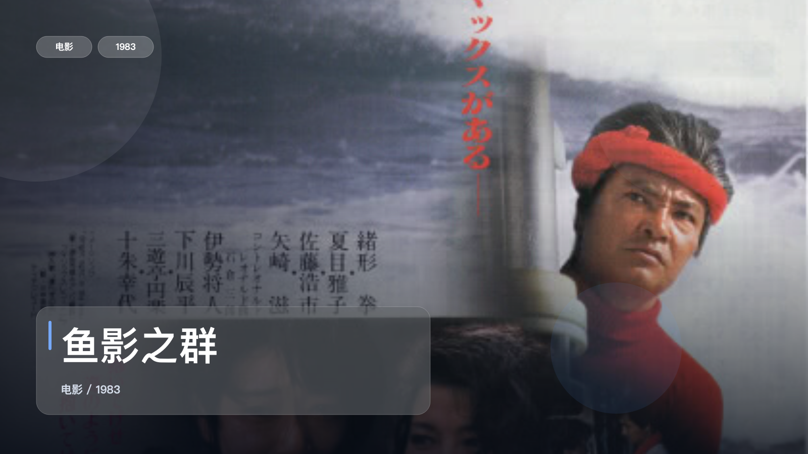 鱼影之群