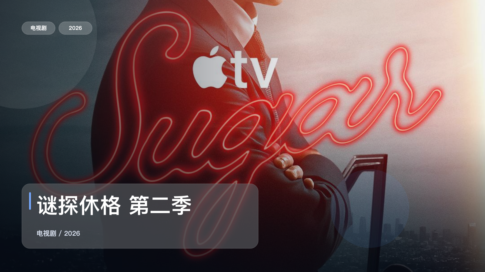 谜探休格 第二季