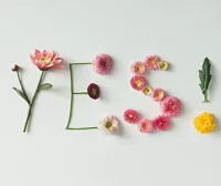 互相了解，才是恋爱进度条：从10%到90%的节奏与方法