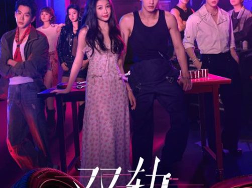 电视剧《双轨》百度云网盘免费1080P高清资源分享