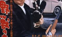 《野兽的青春》百度云网盘夸克下载.阿里云盘.中字.(1963)