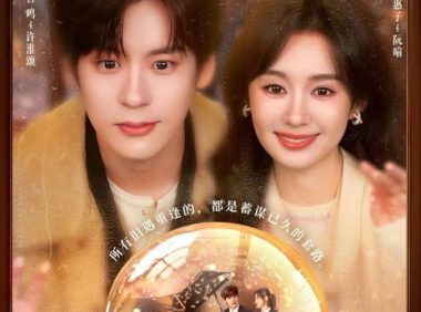 你是迟来的欢喜 中国大陆 爱情 剧集 2026 年中文字幕 高清 下载