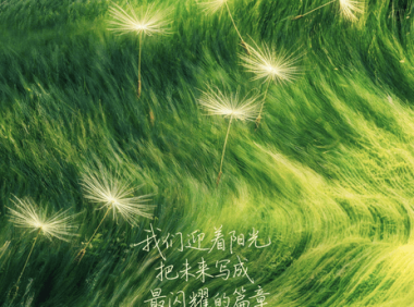 《奋斗吧人生-演员篇》百度云网盘夸克下载.阿里云盘.中字.(2026)