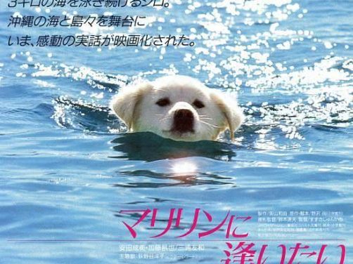 《想见玛丽琳》百度云网盘夸克下载.阿里云盘.中字.(1988)