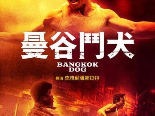 【电影】花开有时颓靡无声（2024） 网盘保存