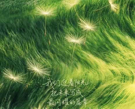 《奋斗吧人生-演员篇》百度云网盘夸克下载.阿里云盘.中字.(2026)