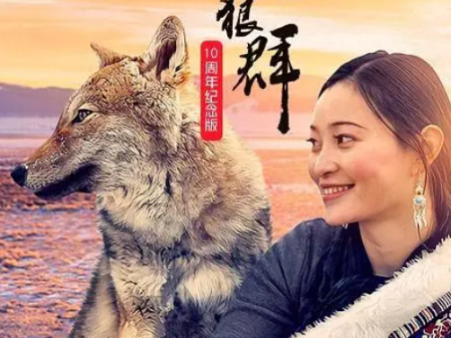 【高分纪录片】重返狼群 10周年特别纪念版 更新12集（2021）4K HQ 高码率