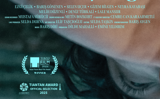 白天是阿波罗晚上是雅典娜 2024 土耳其 电影 剧情 喜剧 奇幻 中字 高清