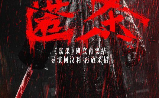 《匿杀》百度云网盘夸克下载.阿里云盘.中字.(2025)