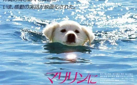 《想见玛丽琳》百度云网盘夸克下载.阿里云盘.中字.(1988)