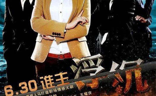 《浮沉》百度云网盘夸克下载.阿里云盘.中字.(2012)