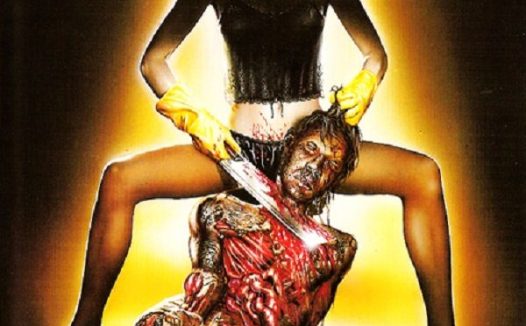 《困惑的浪漫2》百度云网盘下载.BD1080P.德语中字.(1991)