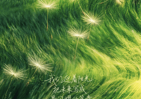 《奋斗吧人生-演员篇》百度云网盘夸克下载.阿里云盘.中字.(2026)