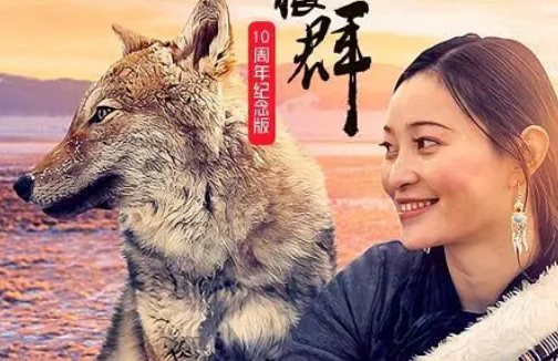 【高分纪录片】重返狼群 10周年特别纪念版 更新12集（2021）4K HQ 高码率