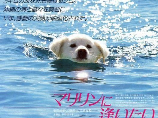 《想见玛丽琳》百度云网盘夸克下载.阿里云盘.中字.(1988)