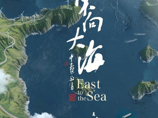 《东向大海》百度云网盘夸克下载.阿里云盘.中字.(2020)