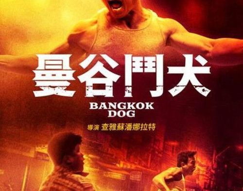 【电影】花开有时颓靡无声（2024） 网盘保存