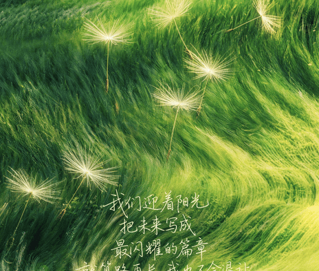 《奋斗吧人生-演员篇》百度云网盘夸克下载.阿里云盘.中字.(2026)