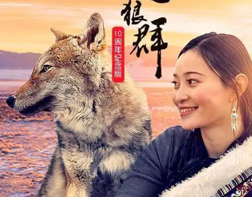 【高分纪录片】重返狼群 10周年特别纪念版 更新12集（2021）4K HQ 高码率