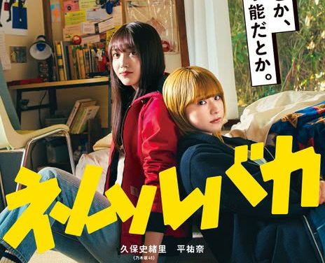 《睡觉的笨蛋》百度云网盘夸克下载.阿里云盘.中字.(2025)