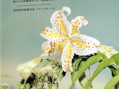 这部电影别错过！《距离》