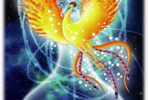 《火之鸟》百度云网盘夸克下载.阿里云盘.中字.(2004)