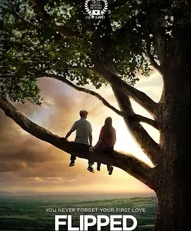 【电影】怦然心动 网盘保存