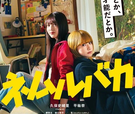 《睡觉的笨蛋》百度云网盘夸克下载.阿里云盘.中字.(2025)