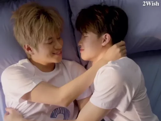 《有生之年》 2Wish The Series‎-爱情 / 同性 -泰腐同性BL-夸克网盘-免费下载