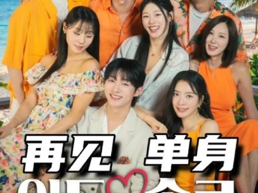 《再见单身》2026最新电影-中字-免费下载-未删减[夸克网盘]