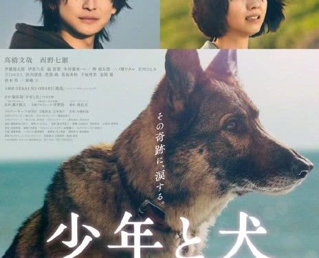少年与犬 2025 日本剧情电影 中字 网盘在线看