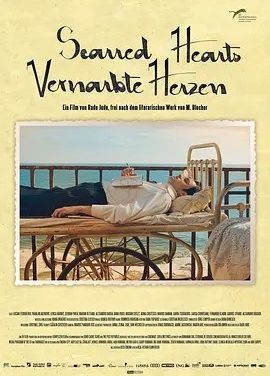 心痕如诗 (2016)丨7.5分丨洛迦诺电影节金豹奖提名 拉杜·裘德导演作品 罗马尼亚语中字