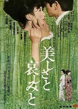 美丽与哀伤 (1965)丨7.1分丨筱田正浩/渡边美佐子作品 改编自川端康成原著 日语中字