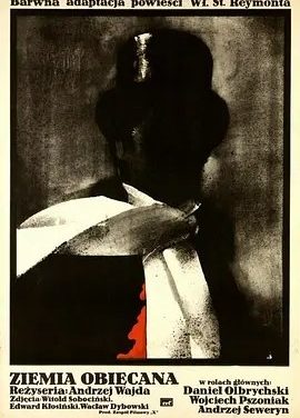福地 (1975)丨8.2分丨奥斯卡最佳外语片提名 安杰伊·瓦伊达作品 波兰语中字