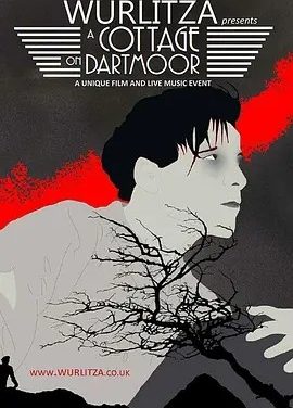 达特穆尔的小屋 (1929)丨8.0分丨英国影史百佳电影之一 无对白中字