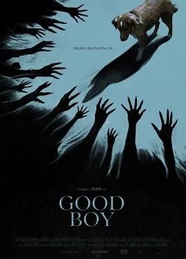 美影丨好狗狗 Good Boy (2025)丨西南偏南电影节展映