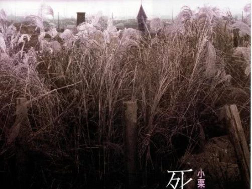 《死之棘》百度云网盘下载.阿里云盘.日语中字.(1990)