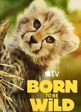 生而狂野 Born To Be Wild