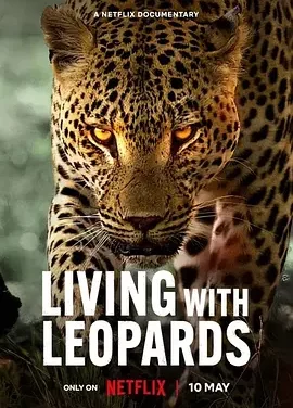 幼豹成长记 Living with Leopards