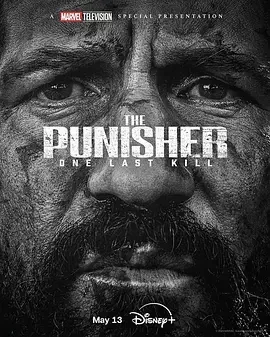 惩罚者：最后一击 制裁者：最后一击(台) / 惩罚者：特别故事 / Punisher Special