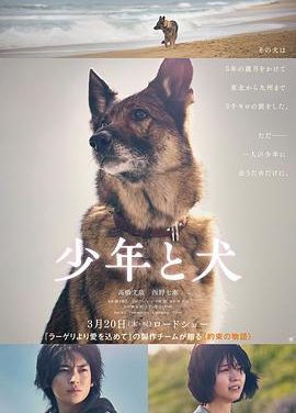 《少年与犬》百度云网盘夸克下载.阿里云盘.中字.(2025)