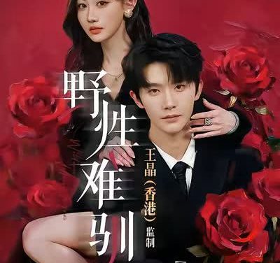 《航向海盗王子的心》百