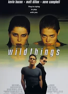 玩尽杀绝 Wild Things